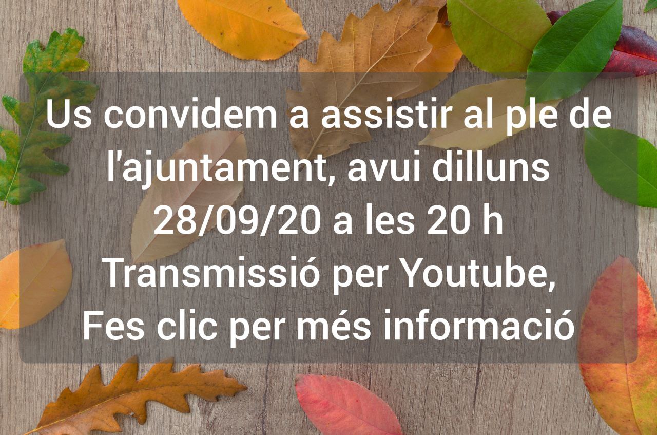 Us convidem a seguir el plenari de setembre del dia 28-09-20