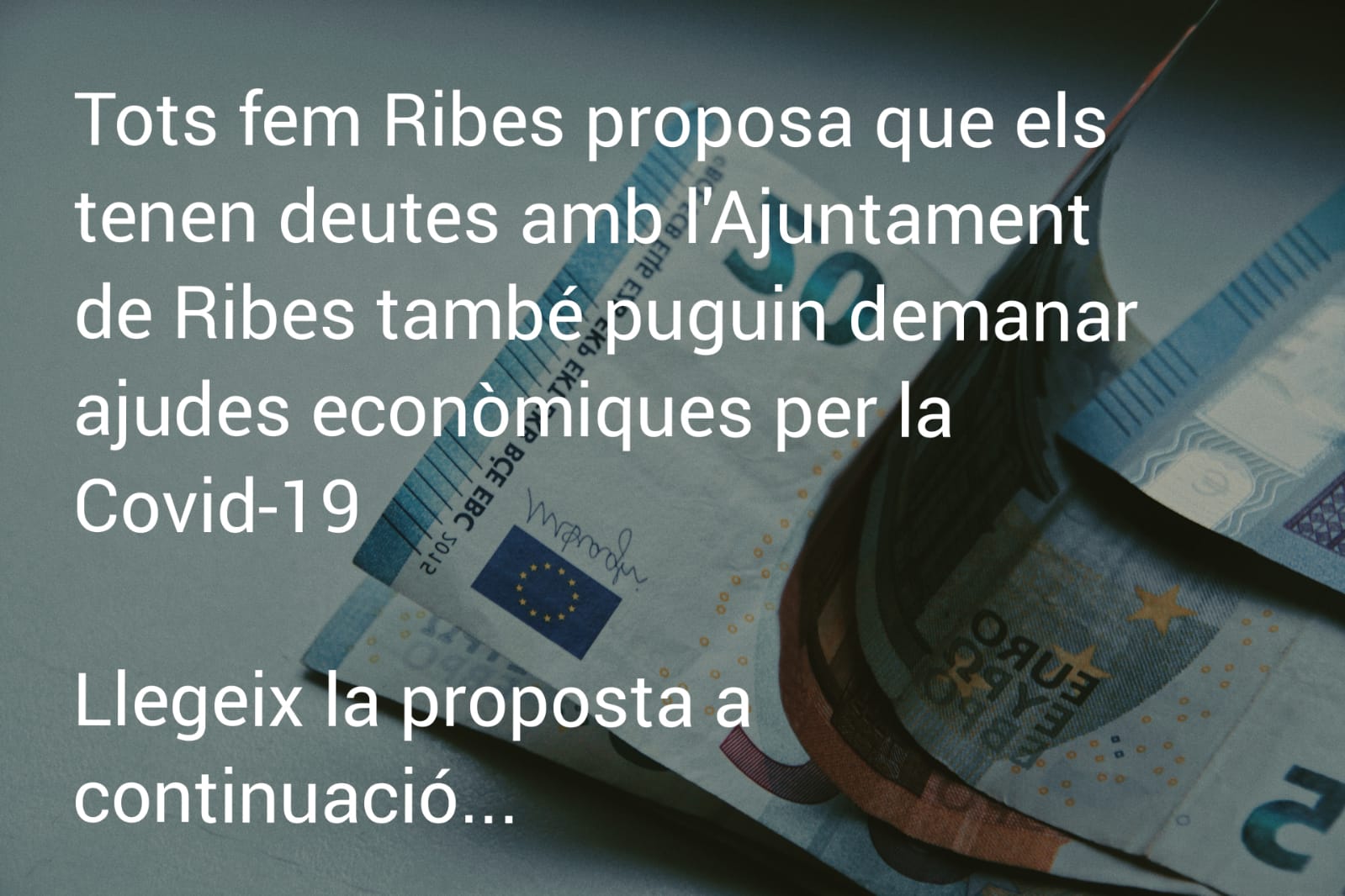Tots fem Ribes proposa que els tenen deutes amb l'Ajuntament de Ribes també puguin demanar ajudes econòmiques per la Covid-19