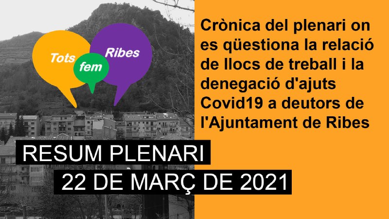 El ple qüestiona la relació de llocs de treball i les denegacions d'ajuts Covid19 de l'Ajuntament de Ribes