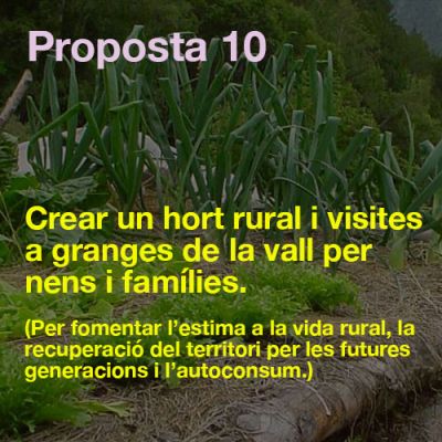 propostes-tots-fem-ribes-10